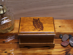 Owl2-box-01-300x225-1.jpg